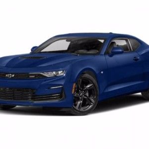 Meet your Posher, Roy